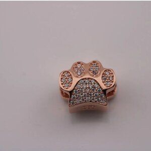 Pandora Charm